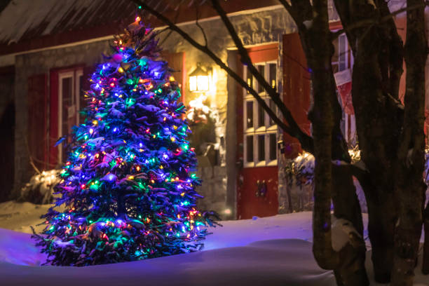 istock Illuminated Christmas Tree at Night During Snowstorm 846175150