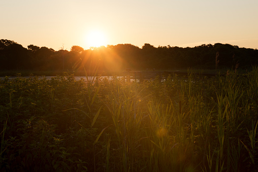 Sunrise at Cape May Wetlands State Natural Area, Cape May, Ne Jersey, USA