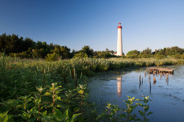 istock Cape May Wetlands State Natural Area with Lighthouse 846179532