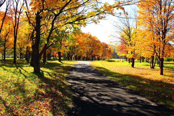 istock Park in Sapporo in autumn 846188882
