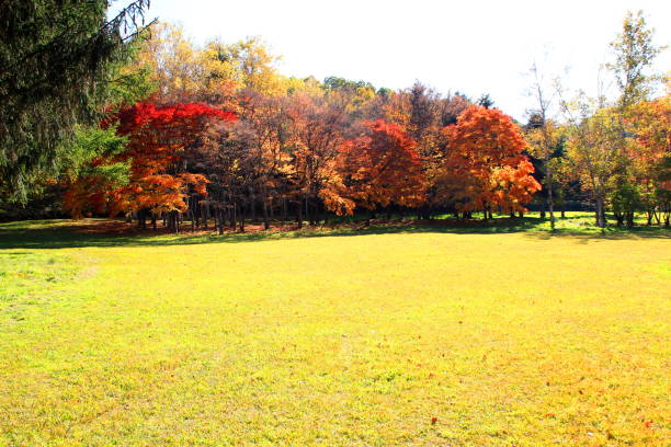 istock Park in Sapporo in autumn 846189116
