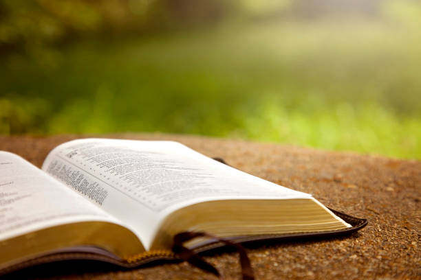 An Opened Bible on a Table in a Green Garden stock photo