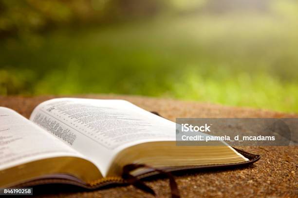 An Opened Bible On A Table In A Green Garden Stock Photo - Download Image Now - Bible, Reading, Open