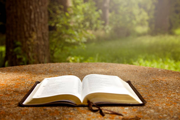 istock An Opened Bible on a Table in a Green Garden 846192436