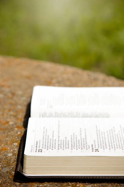 istock An Opened Bible on a Table in a Green Garden 846192524