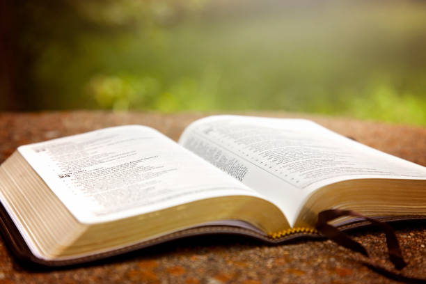 istock An Opened Bible on a Table in a Green Garden 846192596
