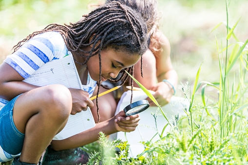 A multi-ethnic group of elementary school children are outdoors on a sunny day. They are wearing casual clothing. They are learning about nature in science class. A girl of African descent is using a magnifying glass to look for bugs.
