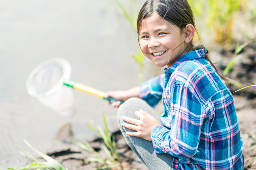 A multi-ethnic group of elementary school children are outdoors on a sunny day. They are wearing casual clothing. They are learning about nature in science class. An Asian girl is catching water bugs with a net.