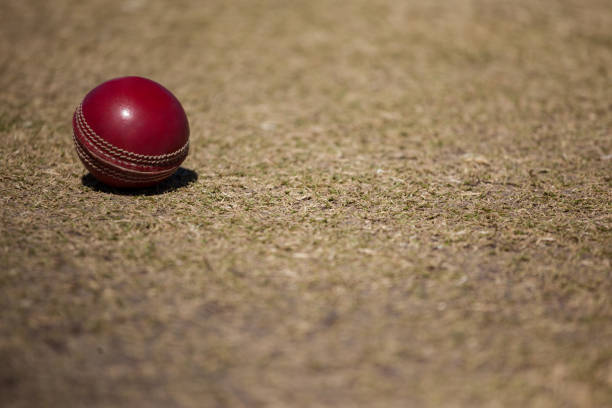 istock High angle view of cricket ball 846193542
