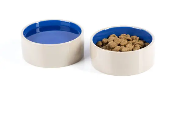 Tan on the outside and blue on the inside of two ceramic dog dishes. The dog dish on the left is filled with water and the dog dish on the right is filled with round medium sized dog food. Copy space and white background.