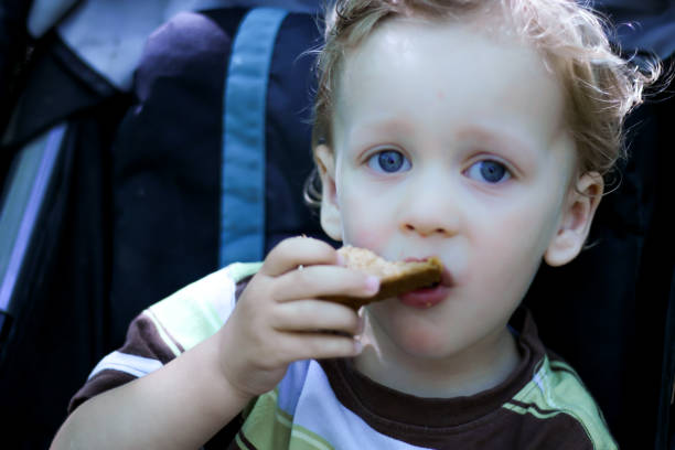 istock Toddler in the woods 846208016