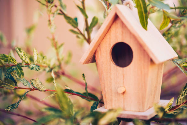 istock Little wooden birdhouse in willow tree 846217194