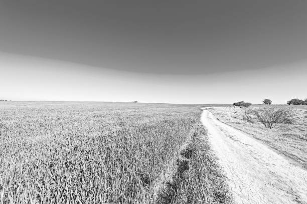 istock Fields and Cural Curving Road in Israel 846218086
