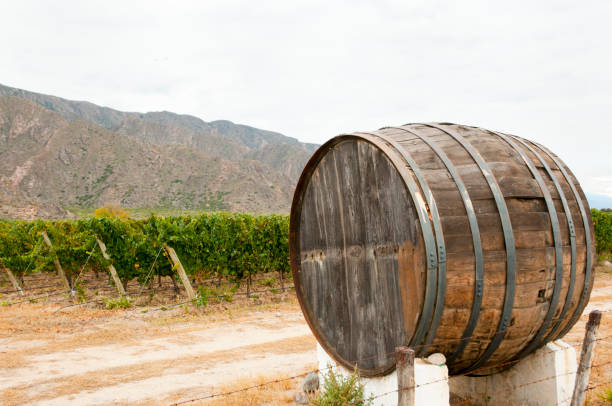 istock Wine Barrel - Cafayate - Argentina 846221160