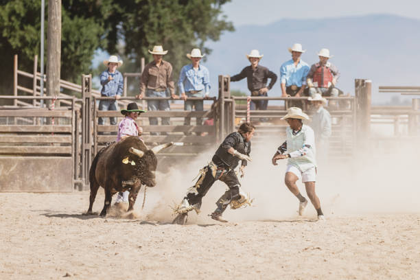 istock Bull Chasing Bull Rider during Rodeo Competition 846221462