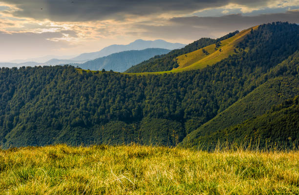 istock mountain ridge with forest on hills at sunrise 846222048