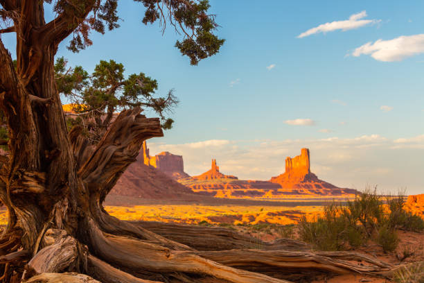 istock Beautiful Monument Valley, Arizona, scenery, under warm sunset light 846222312