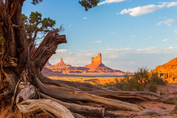 istock Beautiful Monument Valley, Arizona, scenery, under warm sunset light 846222318