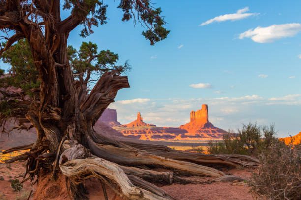 paysage magnifique monument valley, arizona, sous la lumière du coucher du soleil chaud - natural landmark autumn canyon cliff photos et images de collection