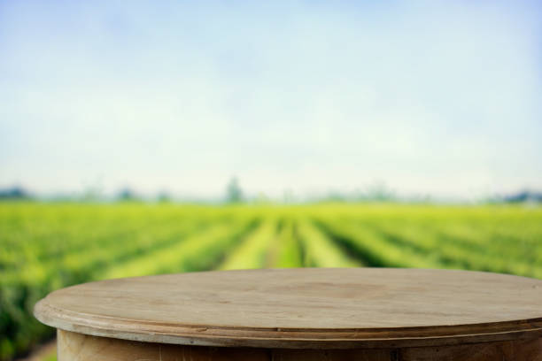 Empty rustic top wood table at gripening soybean field.
