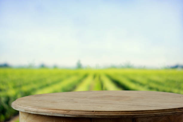 empty rustic top wood table at gripening soybean field. - vegetables table imagens e fotografias de stock