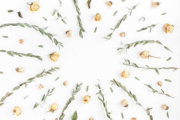 istock Frame made of flowers, eucalyptus branches. Flat lay, top view 846226002