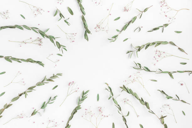 istock Frame made of flowers, eucalyptus branches. Flat lay, top view 846226066