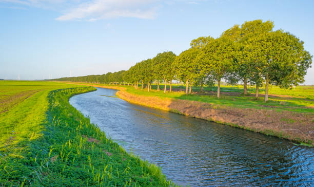 istock Canal along a field at sunrise in summer 846232764