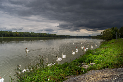 On the Danube in bad weather