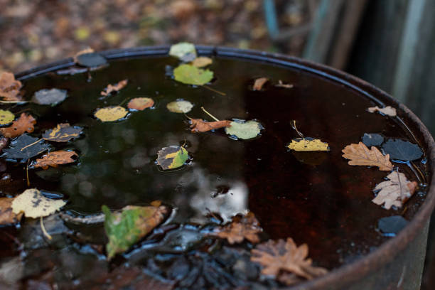 istock Autumn leaves in water in a barrel 846243462