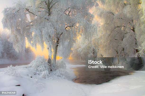 Snowy Landscape Stock Photo - Download Image Now - Animal Wildlife, Art, Beauty