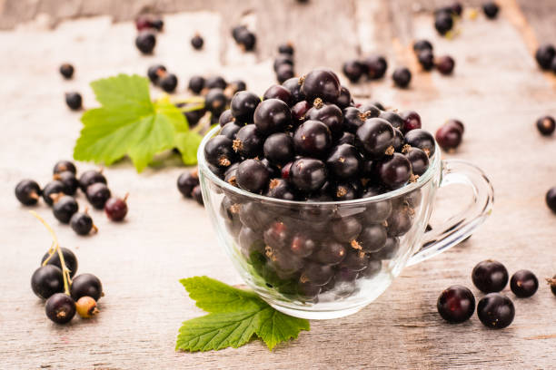 istock Fresh black currant in the cup and leaves 846251184