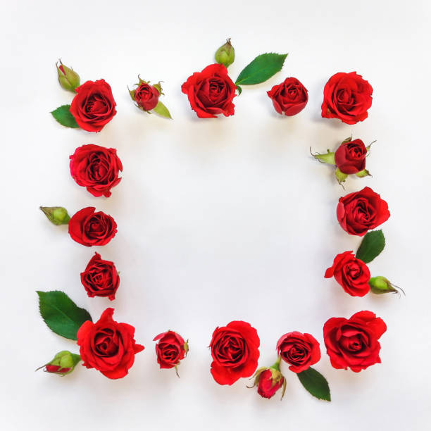 istock Decorative frame with red bright roses and leaves on white background. Flat lay 846255770
