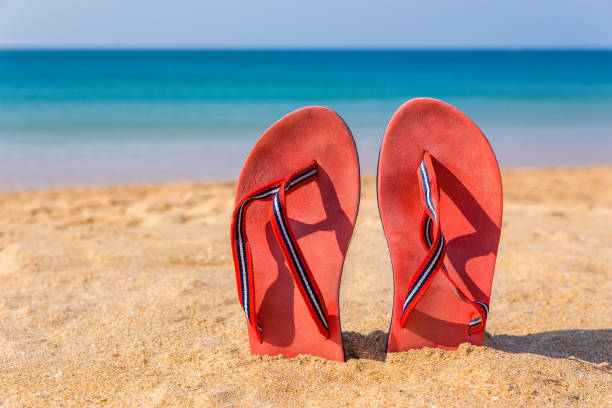 istock Two red slippers upright in sand of beach 846262302