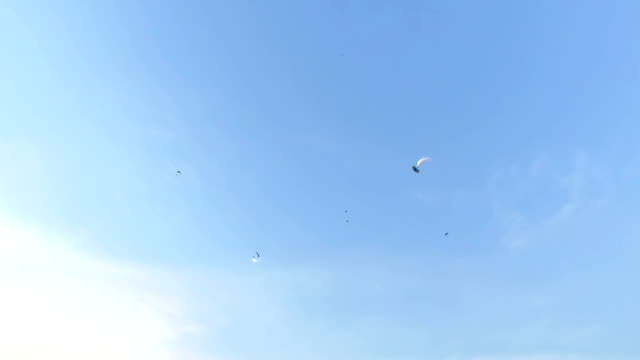 Bucharest , Skydiver Parachuting Extreme Sport
