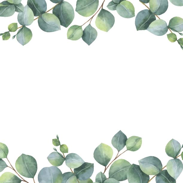 istock Watercolor vector green floral card with silver dollar eucalyptus leaves and branches isolated on white background. 846263502