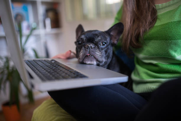 istock Woman and dog 846266524