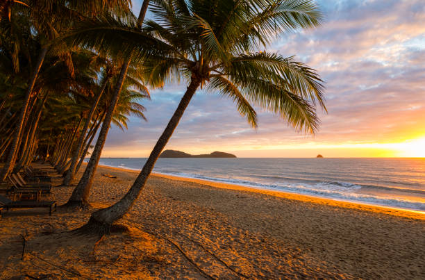 istock Dawn At Palm Cove, Queensland, Australia 846278448