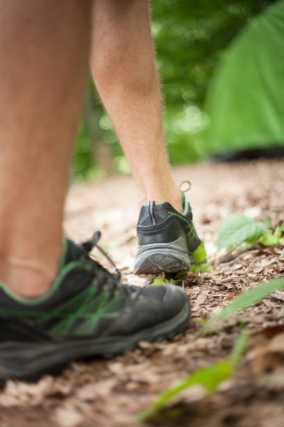 istock Nature, hiking, sports, forest 846281188