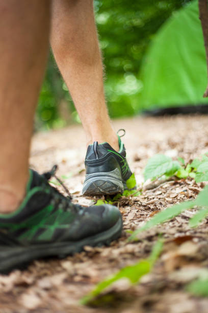 istock Nature, hiking, sports, forest 846283770