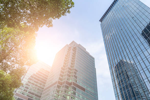 istock Bottom view of office building window close up 846292038