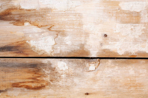 old wood texture background - harwood floor imagens e fotografias de stock