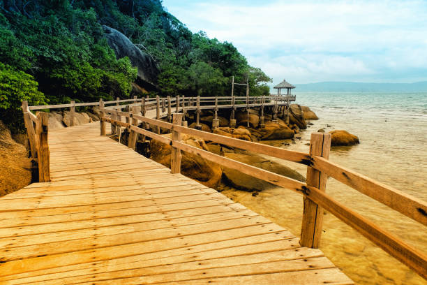 istock Wood brige,Wooden pier 846307452