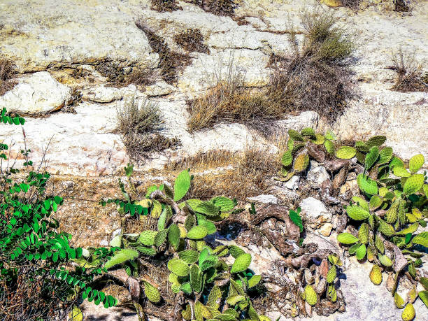 istock Hiking in Israel 846310170