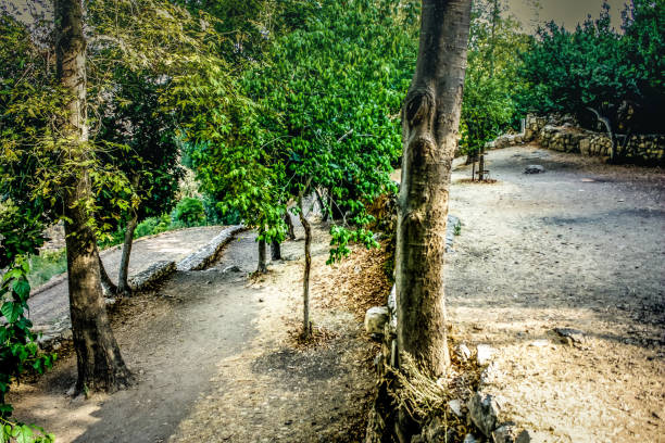 istock Hiking in Israel 846311056