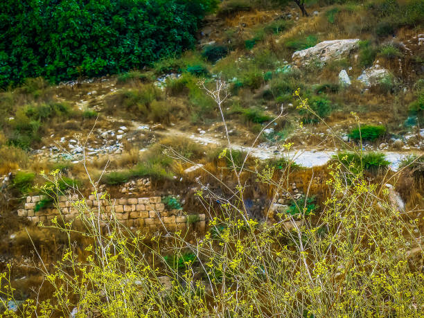 istock Hiking in Israel 846311194