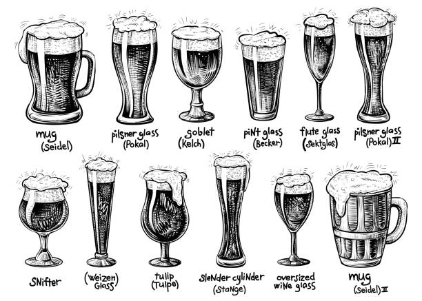 ilustrações, clipart, desenhos animados e ícones de tipos de vidro e canecas de cerveja. vetorial mão extraídas ilustrações vintage. - brandy snifter