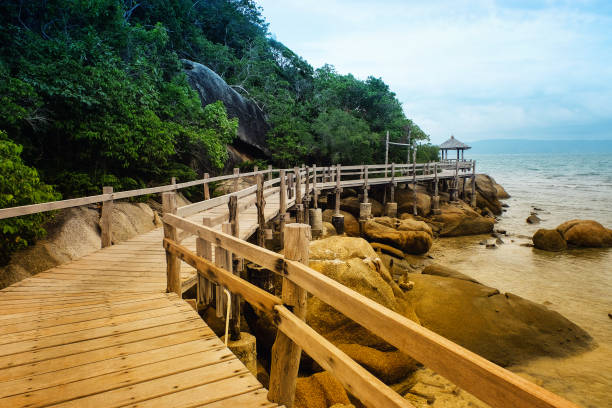 istock Wood brige,Wooden pier 846318234