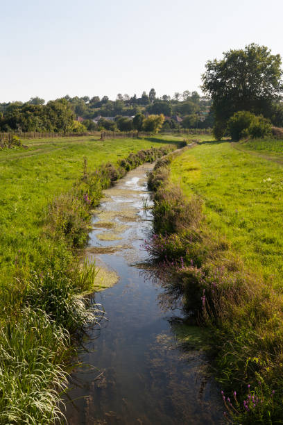istock Small river in a rural environment with preserved natural vegetation 846330946