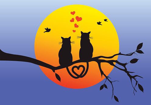 cats sitting on tree branch watching the sunset, vector illustration